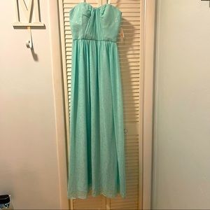 Giani Bini tiffany blue leopard print formal dress strapless NWT sz medium